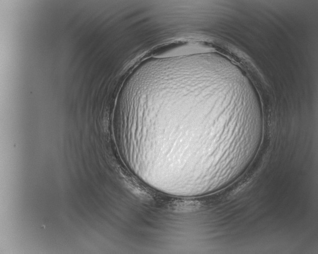 X0000080100833200612301916