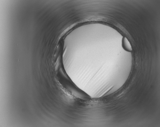 X0000080100834200612301916