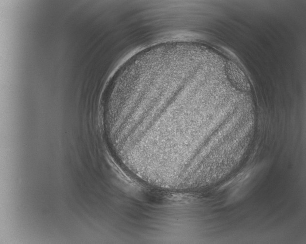 X0000080100835200612301916