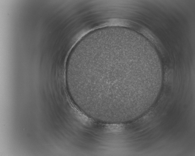 X0000080100836200612301916