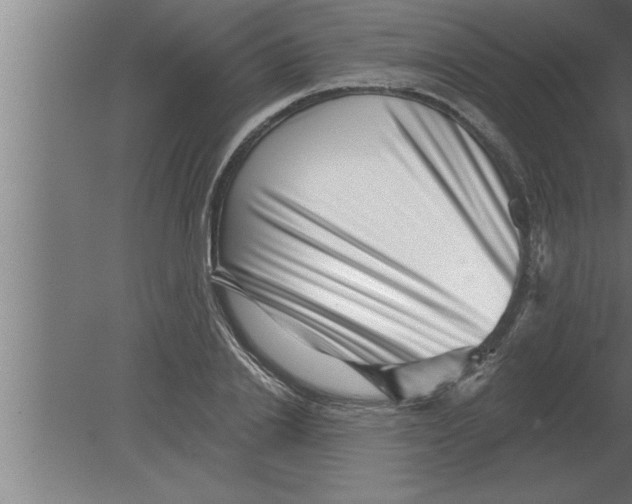 X0000080100838200612301916