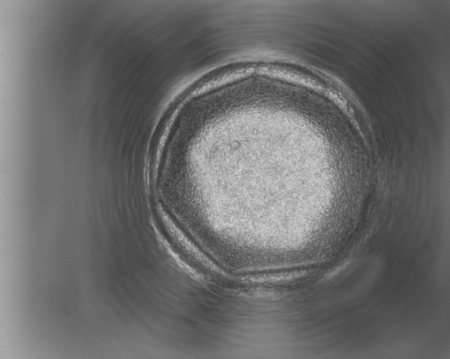 X0000080100839200612301916