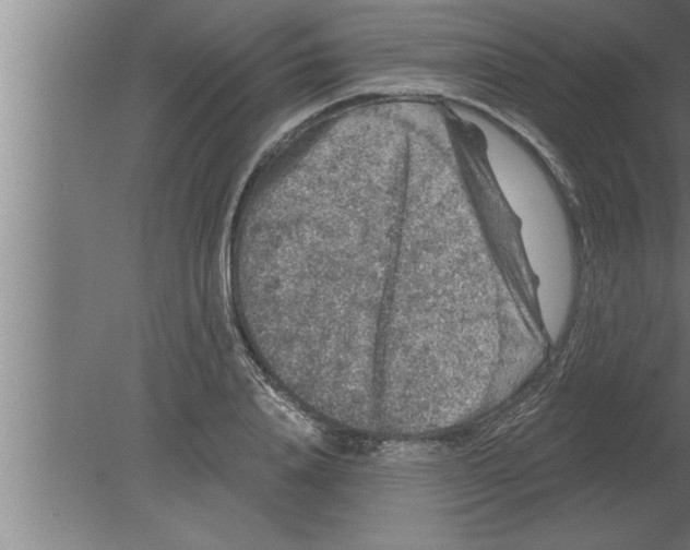 X0000080100840200612301916