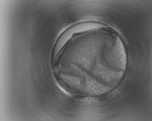 X0000080100842200612301916