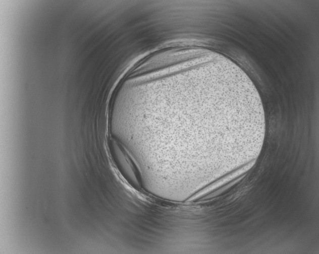 X0000080100844200612301916