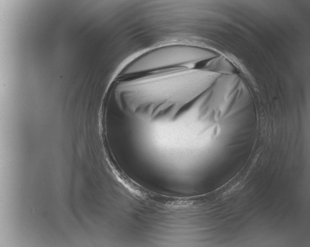 X0000080100846200612301916