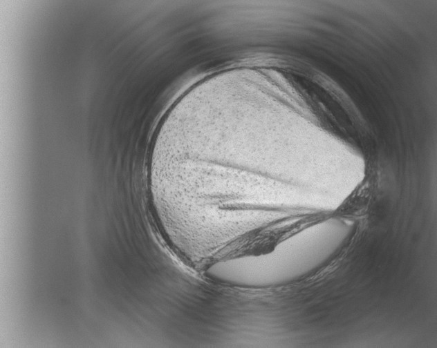 X0000080100852200612301916