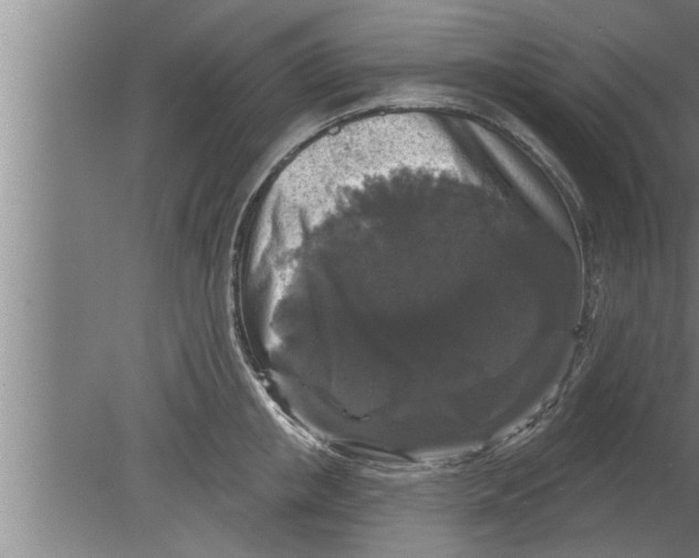 X0000080100853200612301916