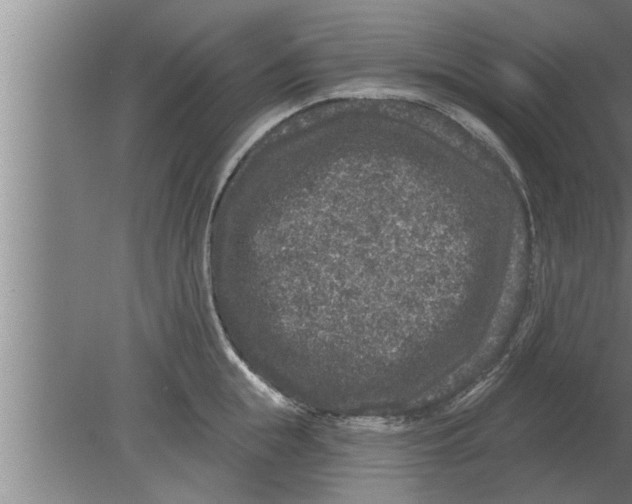 X0000080100855200612301916