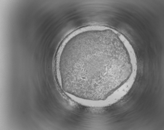 X0000080100856200612301916