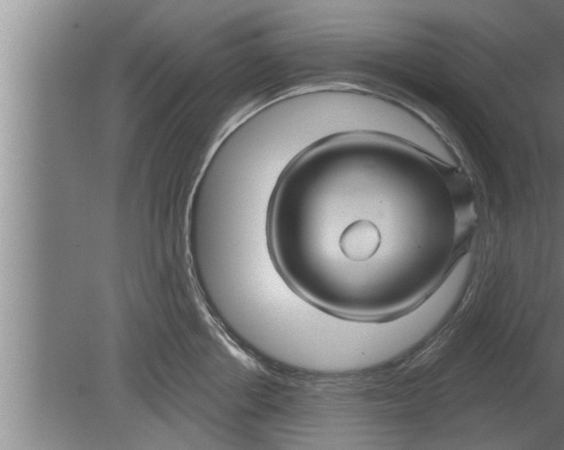 X0000080100858200612301916