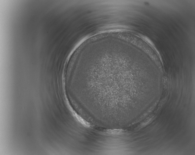 X0000080100859200612301916