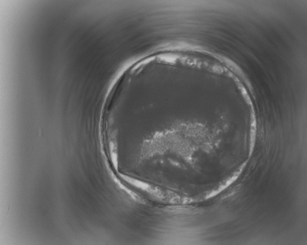 X0000080100863200612301916