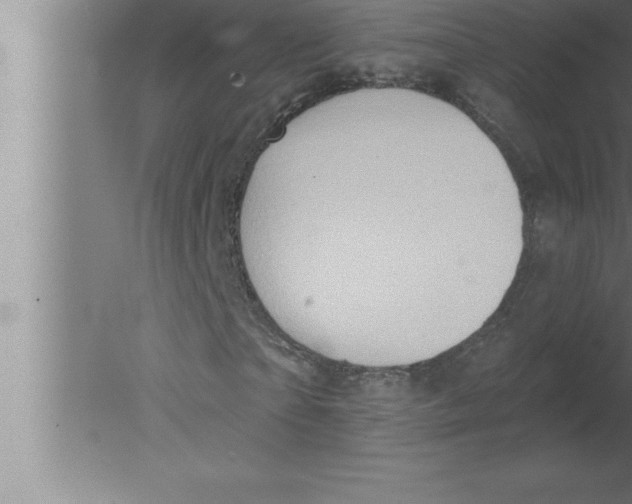 X0000080100865200612301915