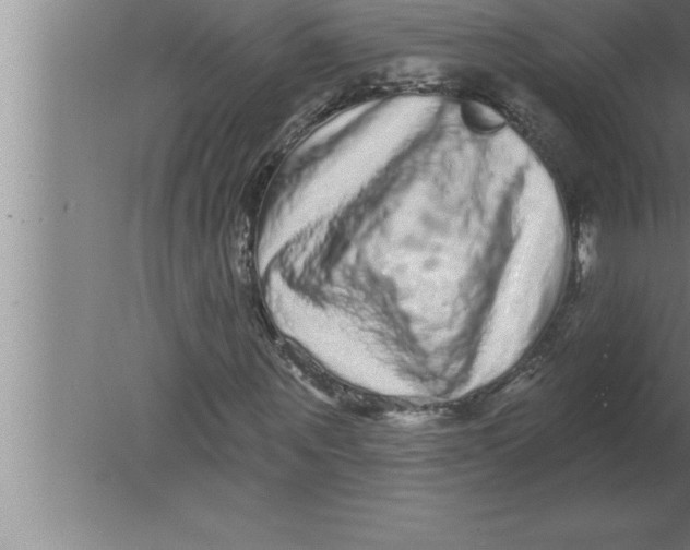 X0000080100867200612301915