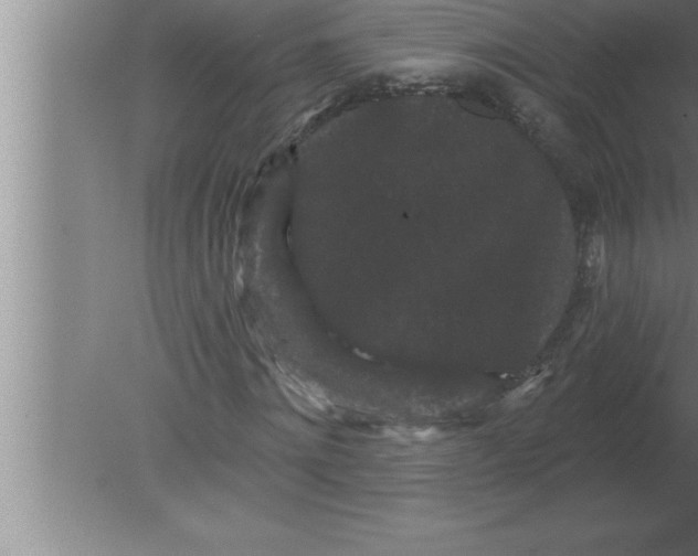 X0000080100868200612301915