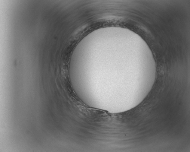 X0000080100869200612301915