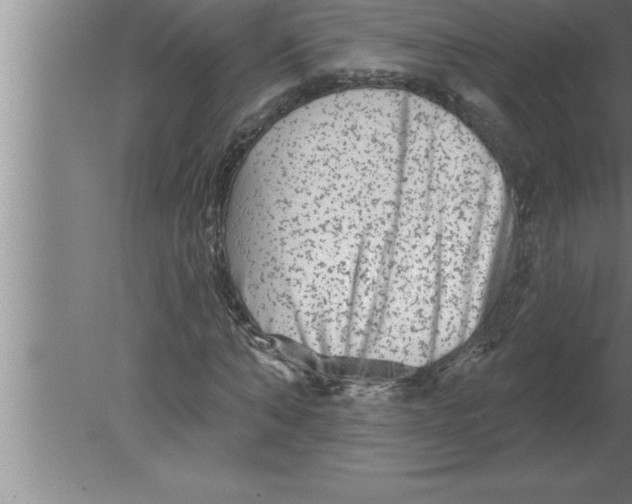 X0000080100870200612301915