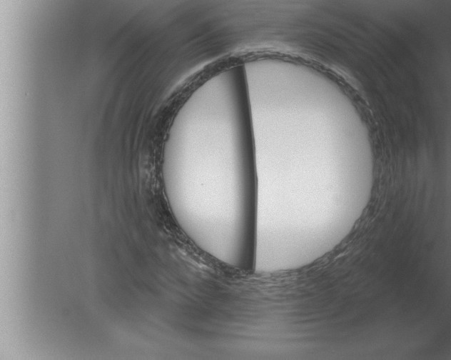 X0000080100872200612301915