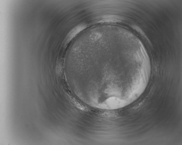 X0000080100874200612301915