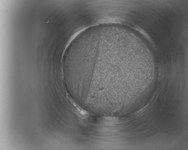 X0000080100878200612301915