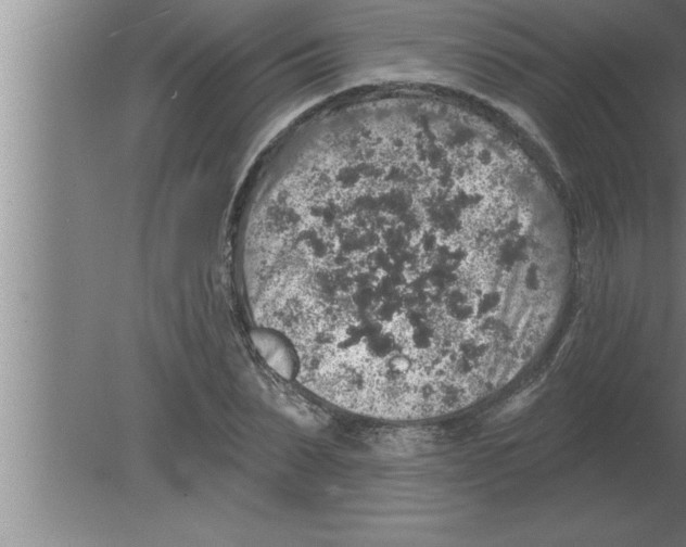 X0000080100879200612301915