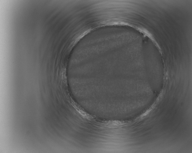 X0000080100881200612301915