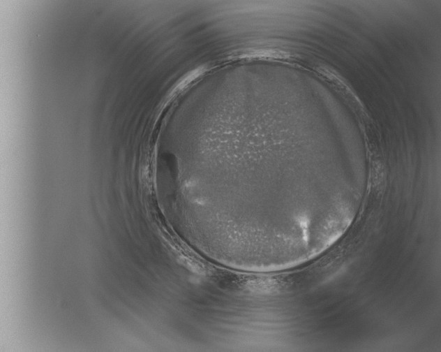 X0000080100882200612301915