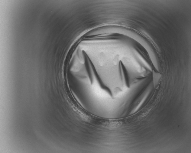 X0000080100884200612301915