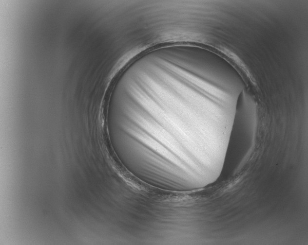 X0000080100885200612301915