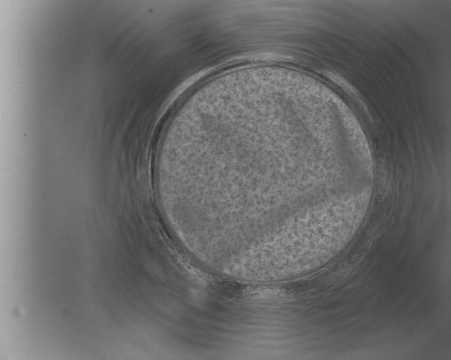 X0000080100886200612301915