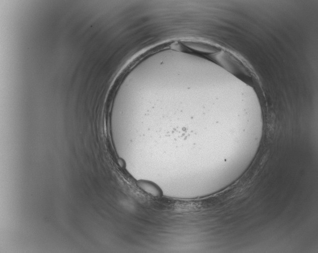 X0000080100887200612301915