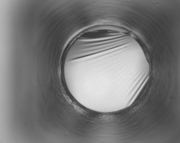 X0000080100888200612301915