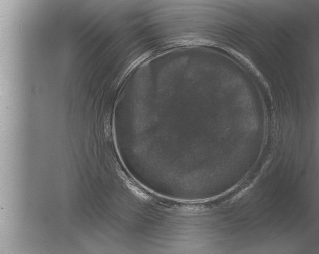 X0000080100889200612301915