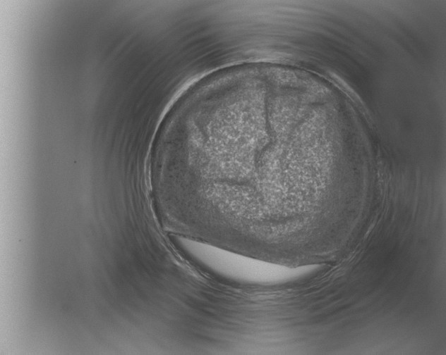 X0000080100891200612301915