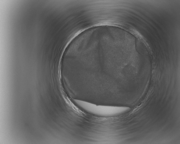 X0000080100892200612301915