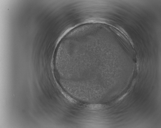 X0000080100893200612301915