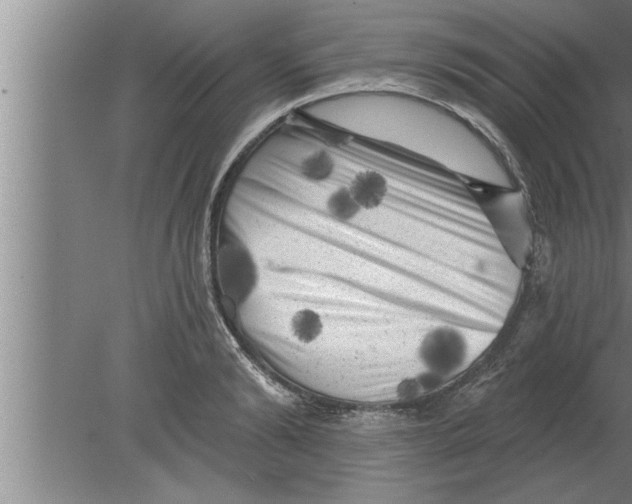 X0000080100894200612301915