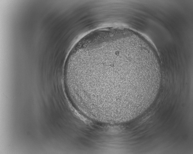 X0000080100895200612301915