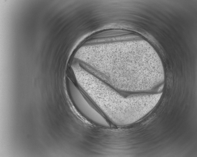 X0000080100896200612301915