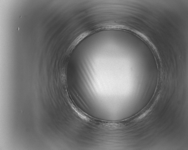 X0000080100897200612301915