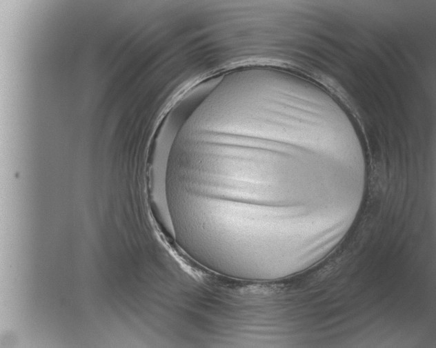 X0000080100898200612301915