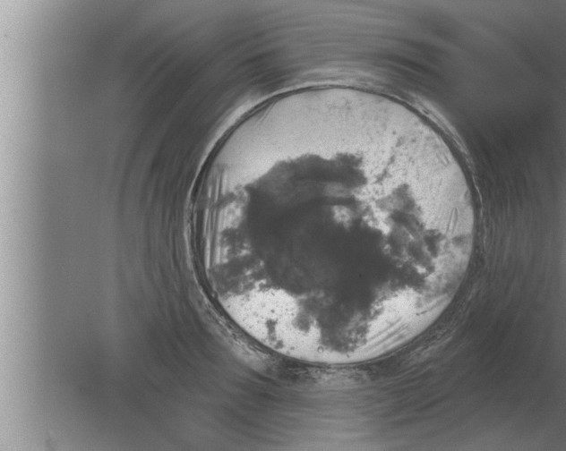 X0000080100899200612301915