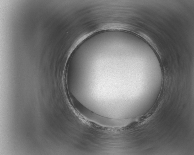 X0000080100901200612301915