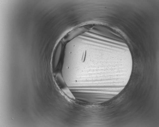 X0000080100902200612301915