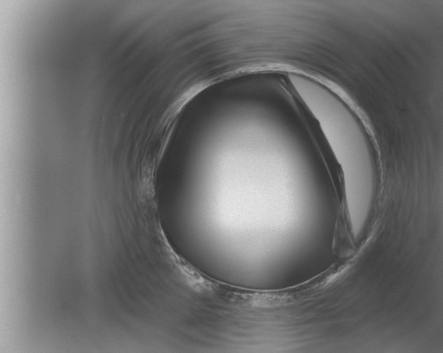 X0000080100905200612301915