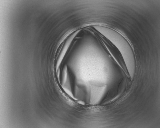 X0000080100906200612301915