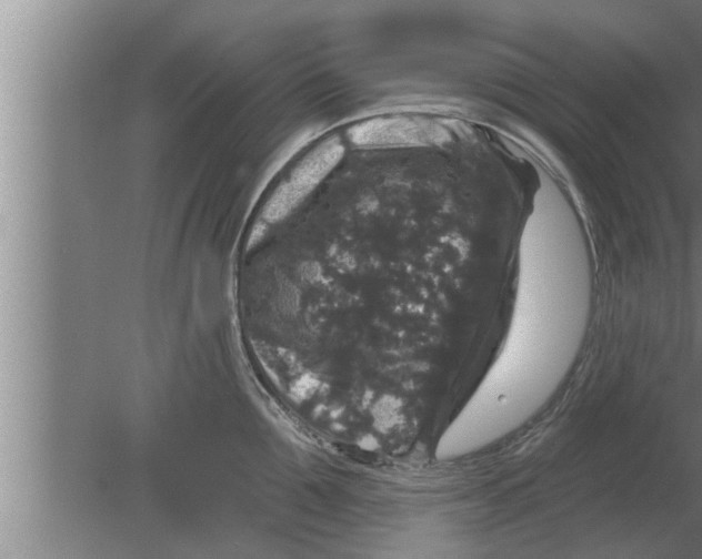 X0000080100907200612301915