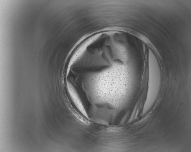 X0000080100908200612301915