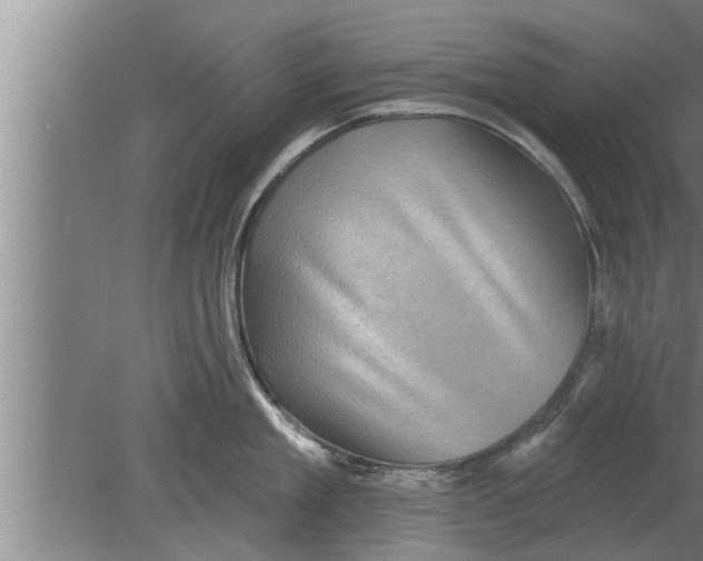 X0000080100909200612301915